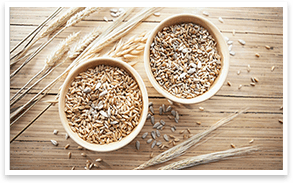 Two bowls of grains
